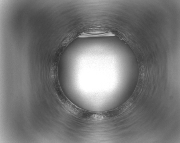 X0000053010272200508051208