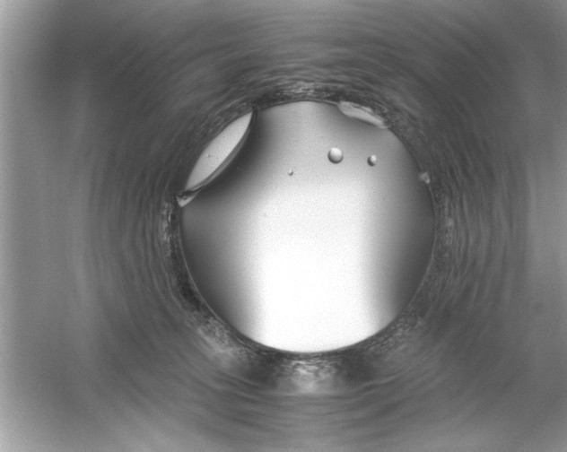 X0000053010275200508051208