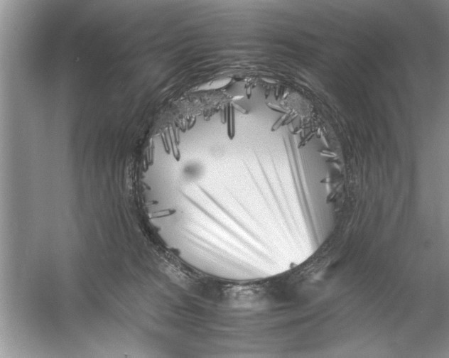 X0000053010277200508051208