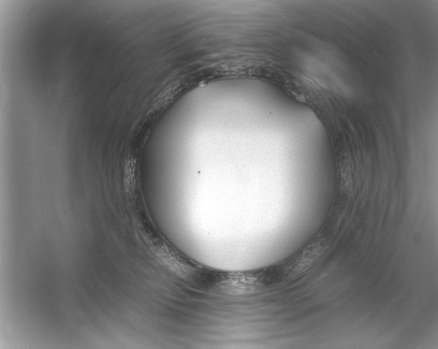 X0000053010278200508051208