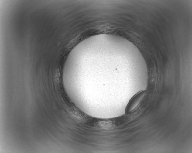 X0000053010279200508051208