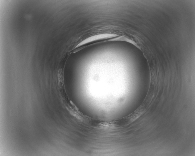 X0000053010284200508051208