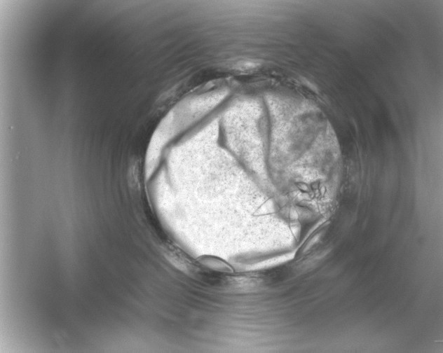 X0000053010286200508051208