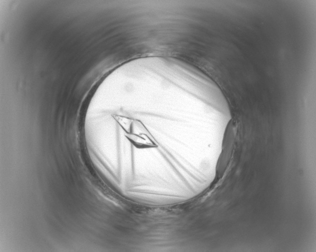 X0000053010290200508051207