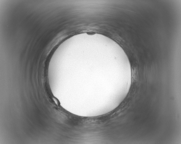 X0000053010291200508051207