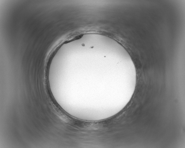 X0000053010293200508051207