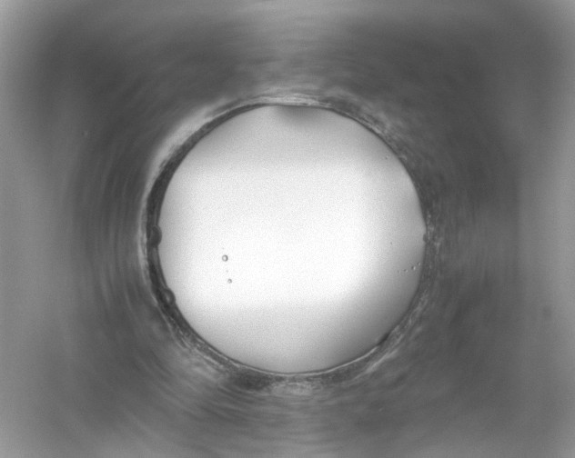 X0000053010294200508051207