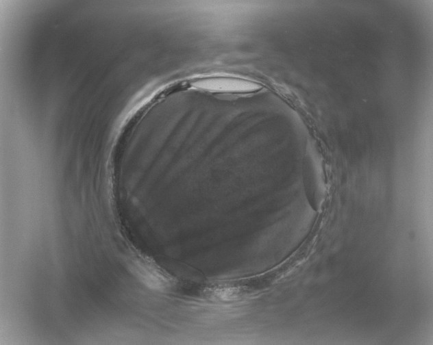 X0000053010295200508051207