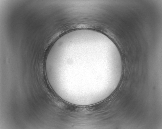 X0000053010297200508051207