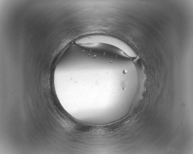 X0000053010299200508051207