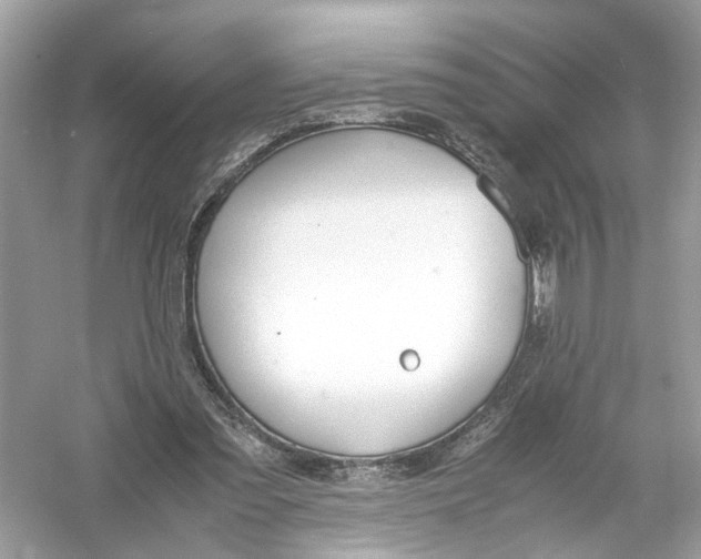 X0000053010301200508051207