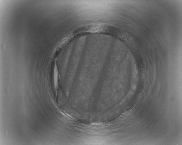 X0000053010303200508051207