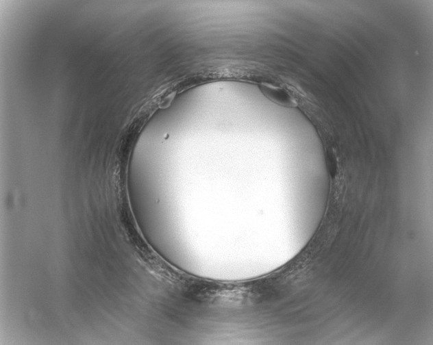 X0000053010306200508051207