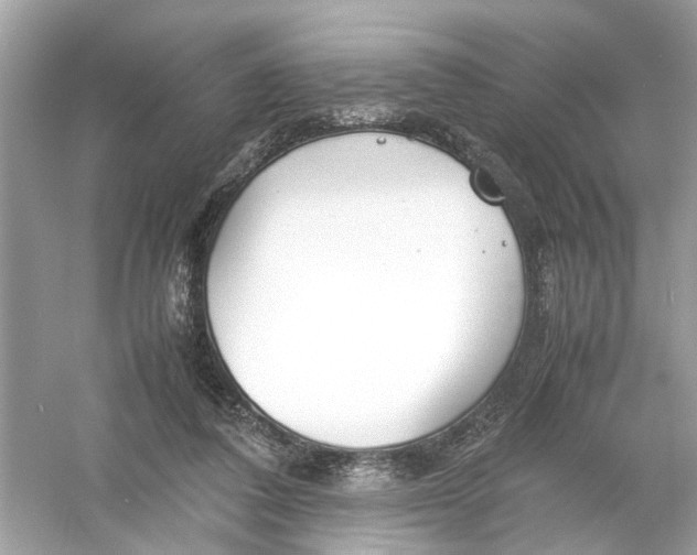 X0000053010308200508051207