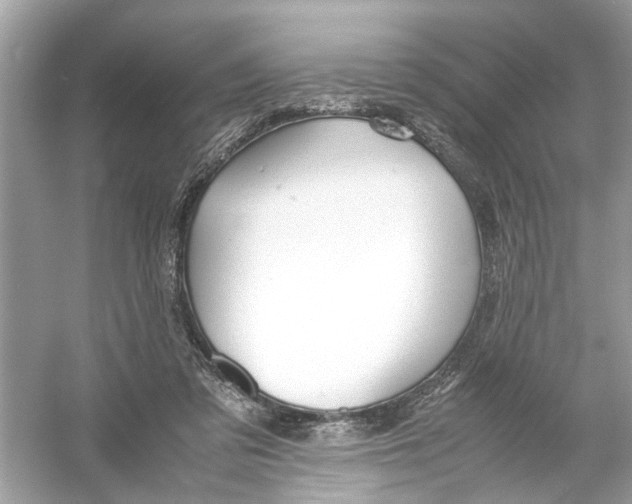 X0000053010309200508051207