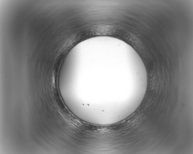 X0000053010310200508051207