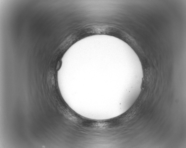 X0000053010313200508051207