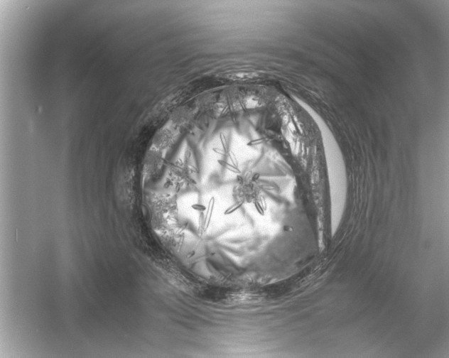 X0000053010319200508051207