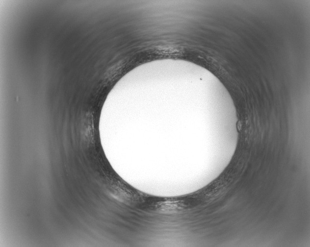 X0000053010320200508051207