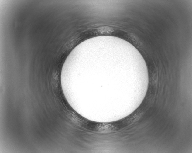 X0000053010321200508051207