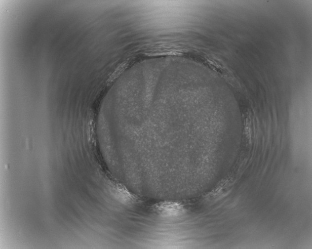 X0000053010322200508051207