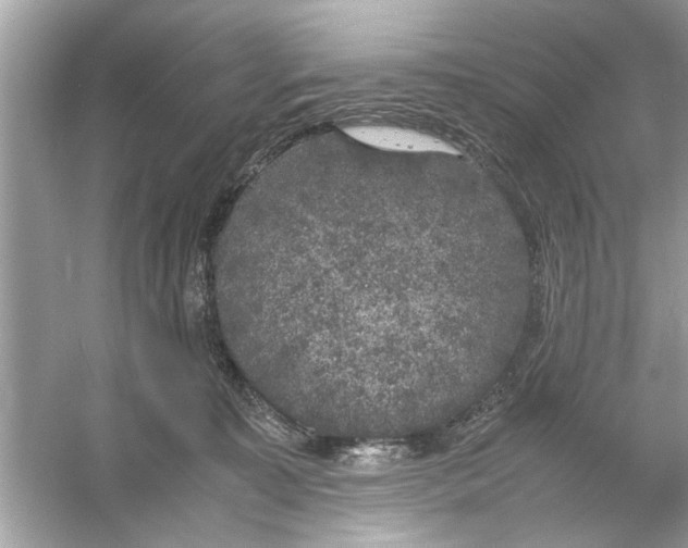 X0000053010323200508051207