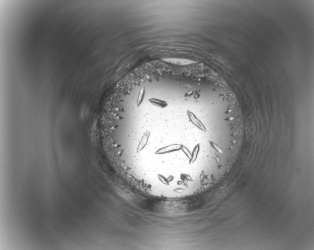 X0000053010327200508051207