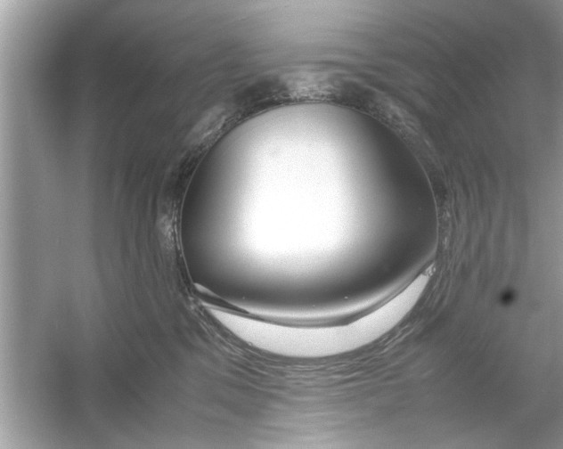 X0000053010329200508051207