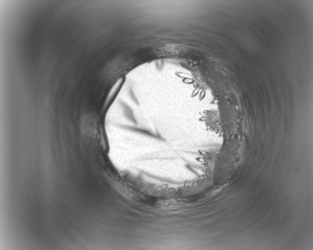 X0000053010331200508051207