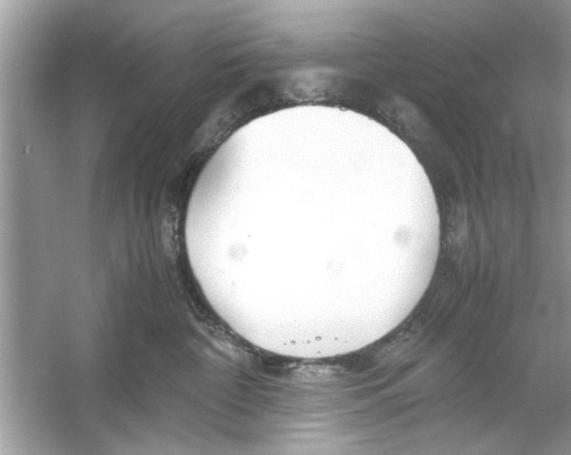 X0000053010332200508051207