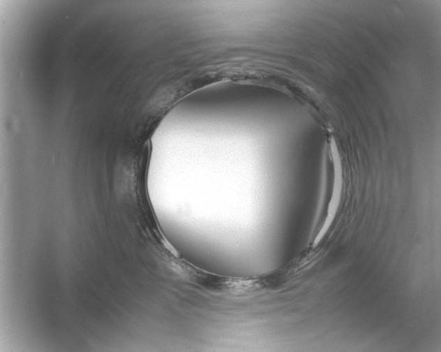 X0000053010333200508051207