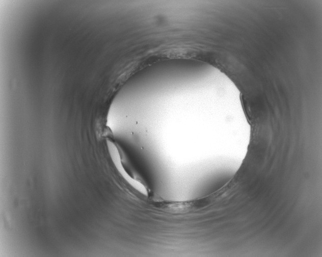 X0000053010335200508051207