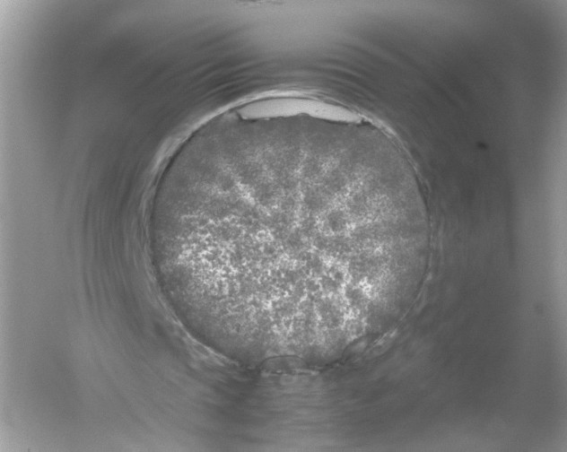 X0000053010337200508051206