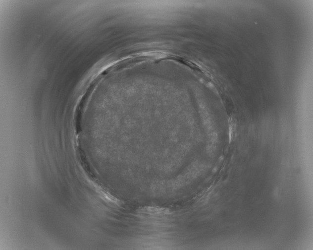 X0000053010339200508051206