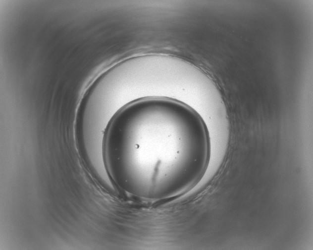 X0000053010340200508051206