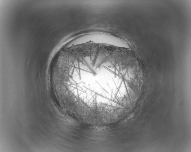 X0000053010343200508051206