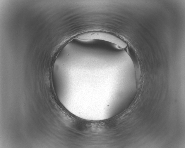 X0000053010345200508051206