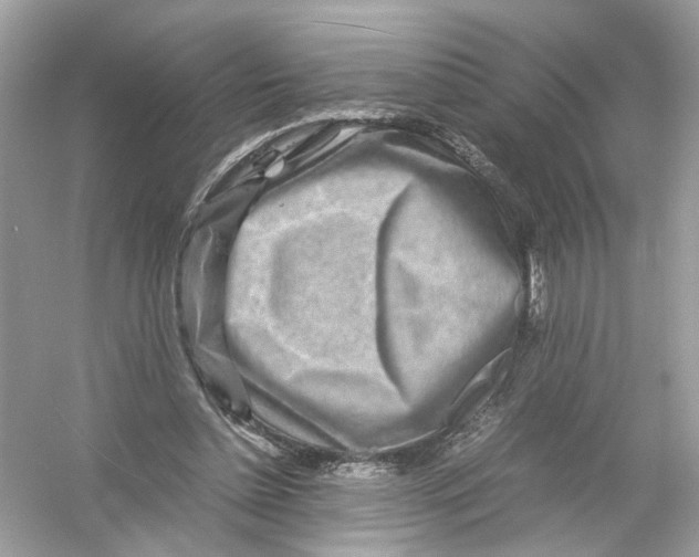 X0000053010348200508051206