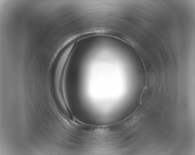 X0000053010350200508051206