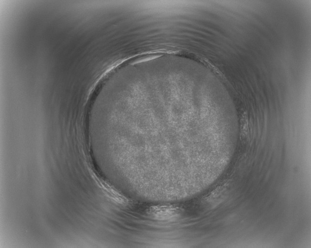 X0000053010351200508051206