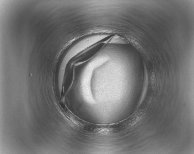 X0000053010352200508051206