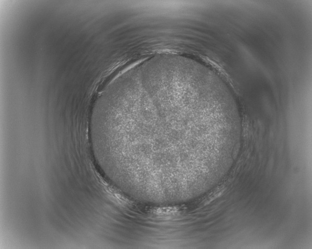 X0000053010353200508051206