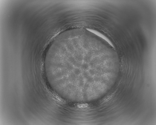 X0000053010355200508051206