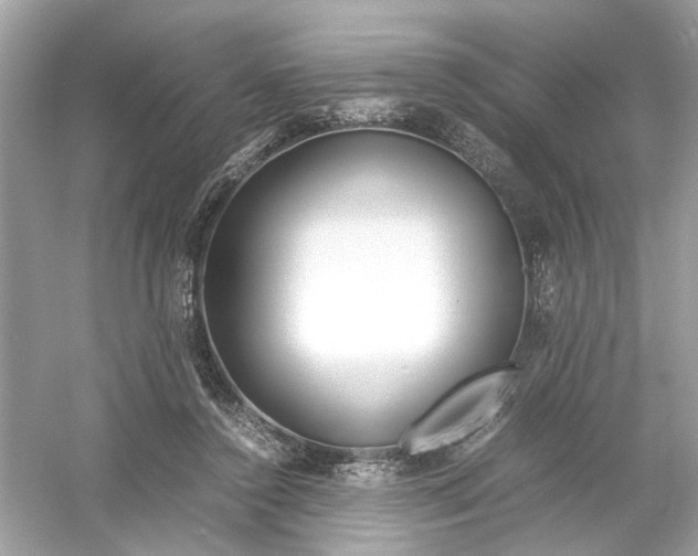 X0000053010356200508051206