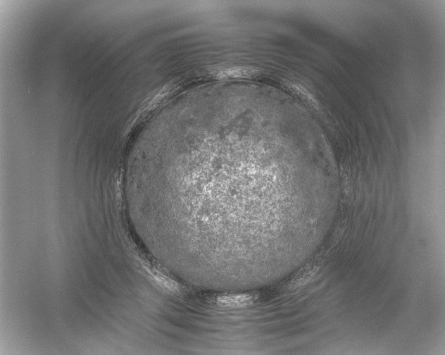 X0000053010357200508051206