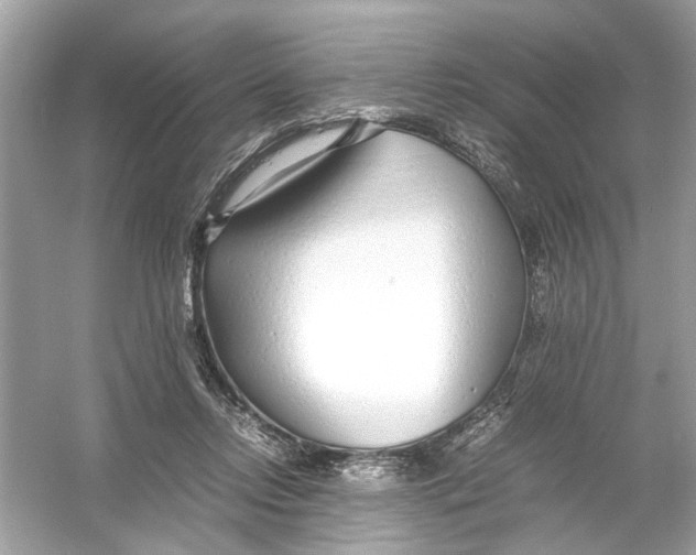 X0000053010358200508051206