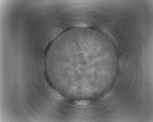 X0000053010359200508051206