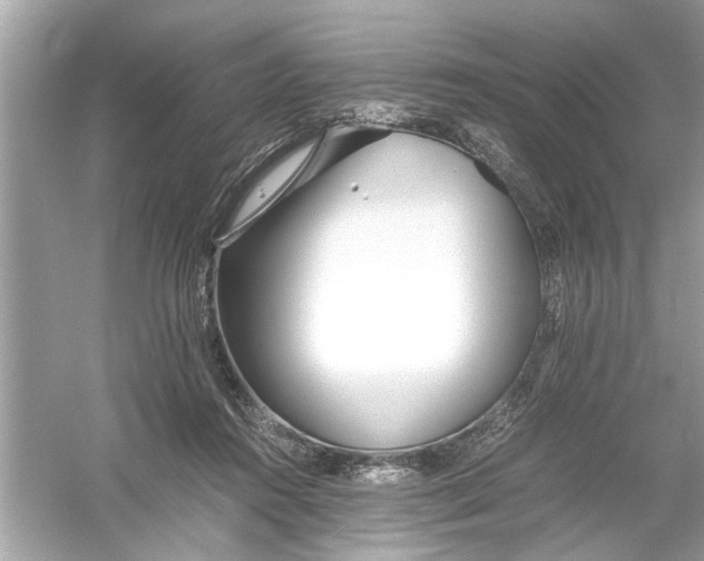 X0000053010360200508051206