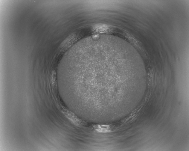 X0000053010361200508051206