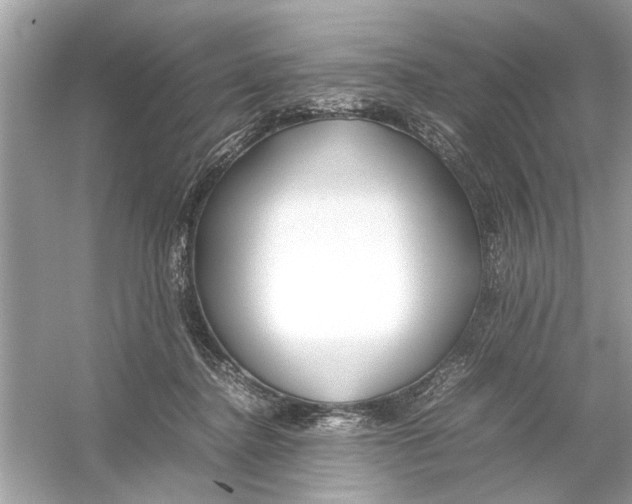 X0000053010364200508051206